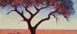 Thorntree Study - Etosha | 2023 | Oil on Canvas | 36 x 51 cm